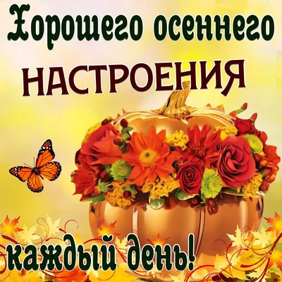 Осенние картинки \"Спокойной ночи!\" (178 шт.)