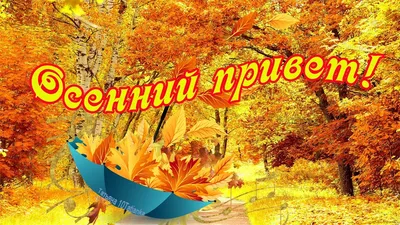 Осенний привет!