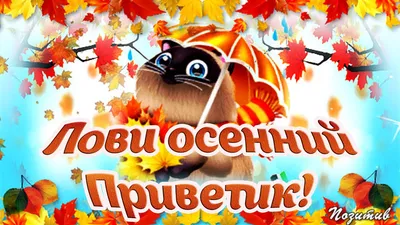 Осенний привет! Красивое видео! Осени вам золотой, счастливой, мирной! -  YouTube