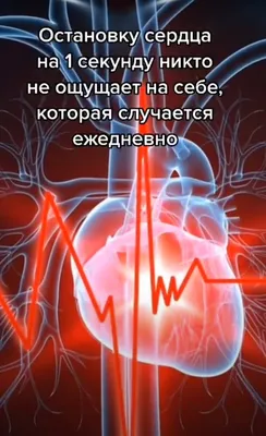 Что происходит с человеком после остановки сердца — Biohacklive на vc.ru