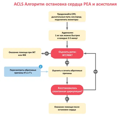 Внезапная остановка сердца: чем она вызвана и кому угрожает | Мой  медицинский центр | Дзен