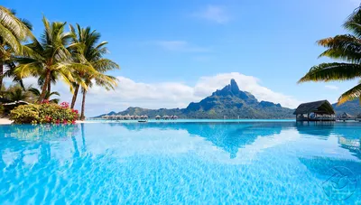 Бора-Бора фото: захватывающая дух красота острова - путешествия, остров,  французская полинезия, природа, курорт | Обозреватель