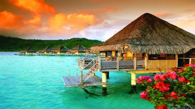 Отели остров Бора-Бора, Французская Полинезия — отзывы и фото. Каталог  отелей и гостиниц Бора Бора