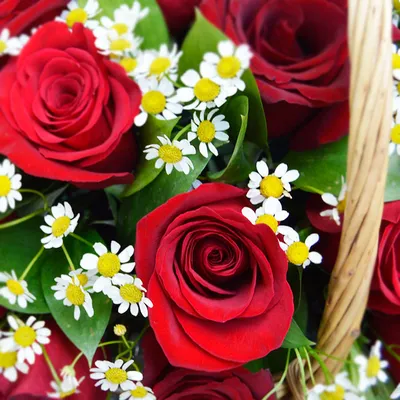 Подаренные от чистого сердца цветы 🌹 они такие особенные 💝☺️ | Instagram