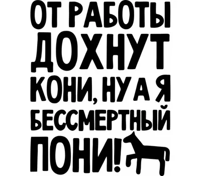 От работы дохнут кони, ну а я бессмертный пони слюнявчик (цвет: белый +  синий) | Все футболки интернет магазин футболок. Дизайнерские футболки,  футболки The Mountain, Yakuza, Liquid Blue