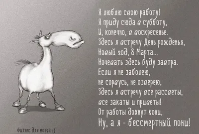 А.С.Строй, компания на Центральной улице в Отрадном 🔨 отзывы, фото, цены,  телефон и адрес - Zoon.ru