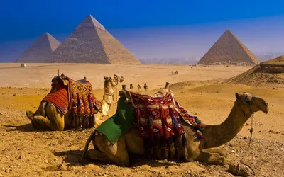Стоит ли ехать в Египет в апреле – все про погоду и сезоны для туристов