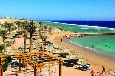 Молодежный отдых в Египте - XO (Хороший Отдых)