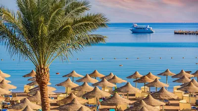Где отдохнуть в Египте? Обзор лучших пляжей