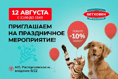Арка из шаров на открытие магазина 11 в Барнауле