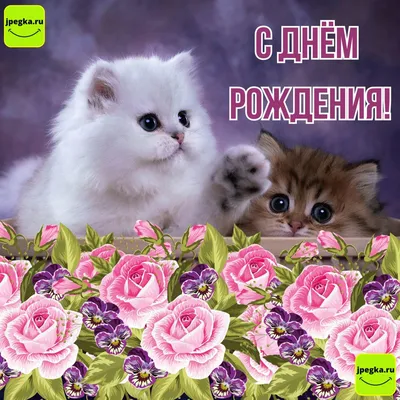 Стильная открытка с днем рождения 39 лет — Slide-Life.ru