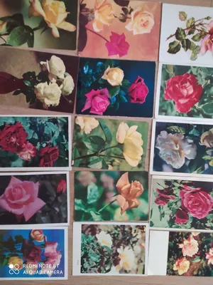 Коллекция красивых открыток на день рождения с цветами | День рождения,  Юбилейные открытки, Поздравительные открытки