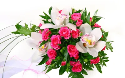Фотографии пион цветок Шаблон поздравительной открытки 2560x1695
