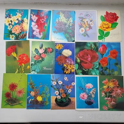 Красивые картинки и открытки (48 фото) - 48 фото