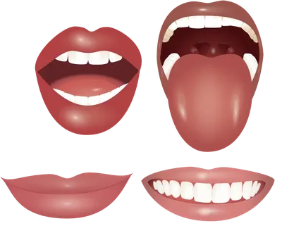 рот женщины с зубами показывающими открытый рот на черном фоне, больной  язык фон картинки и Фото для бесплатной загрузки