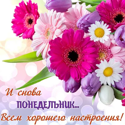 👍🏻 Хорошего понедельника и удачной недели ! | Поздравления, пожелания,  открытки с Новым годом! | ВКонтакте