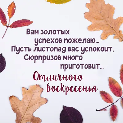 Такими потрясающими кадрами Чатыр-Дага, сделанными на рассвете, хотим  пожелать всем отличного воскресенья! - Лента новостей Крыма