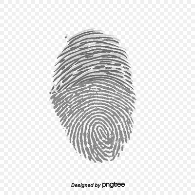 Отпечатки Пальцев В Виде Отпечатков Пальцев — стоковые фотографии и другие  картинки Отпечаток пальца - Отпечаток пальца, Полиция, Детектив - iStock