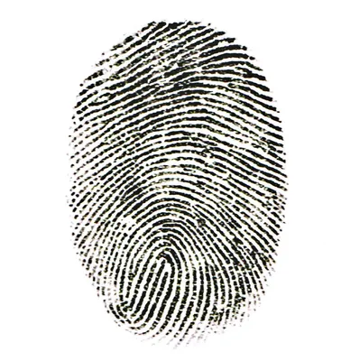 Отпечатки пальцев Фон с отпечатками пальцев Стоковое Изображение -  изображение насчитывающей конструкция, идентификация: 161885449