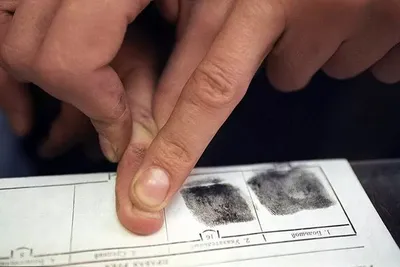 Как снять отпечатки пальцев, а главное- как с помощью компьютера определить  владельца отпечатка (много букв и картинок!!) | Пикабу