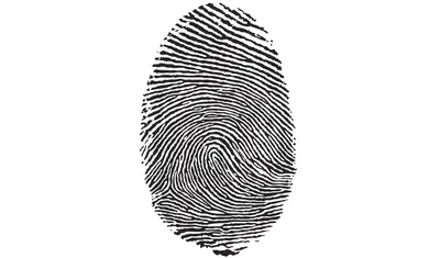 Отпечатки Пальцев — стоковая векторная графика и другие изображения на тему Отпечаток  пальца - Отпечаток пальца, Отпечаток большого пальца, Детектив - iStock