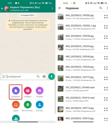 Как отправить сообщение всем контактам WhatsApp сразу - Wazzup