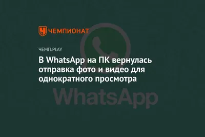 WhatsApp научился отправлять фото в HD-качестве