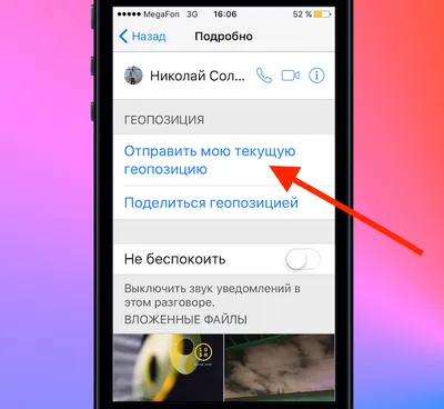 Где скачать и как отправить открытку через WhatsApp на iPhone |  AppleInsider.ru