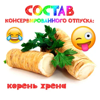 Юмор за день и фото из отпуска | Mixnews