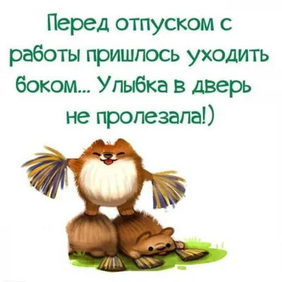 0 t.,4 41% Si 0:35 Поеду в отпуск за Вас договорная Санкт-Петербург Вид  товара Путешествия Кат / фото приколы (новые и лучшие приколы, самые  смешные прикольные фотографии и юмор в картинках, фишкинет) ::