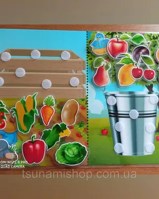 Картинки овощи фрукты ягоды - 70 фото