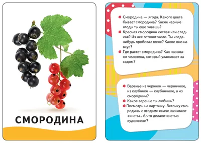 Книга Овощи, фрукты, ягоды Дмитриева ВГ купить книгу в США