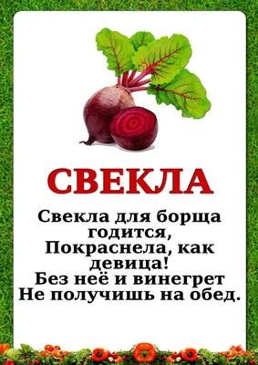 Дидактическое пособие «Овощи в огороде» для детей 3-7 лет