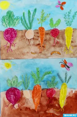 Овощи на грядке раскраска для детей - 40 фото