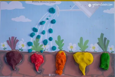 Фотоотчет «Как мы рисовали Овощи на грядке» с детьми подготовительной  группы (9 фото). Воспитателям детских садов, школьным учителям и педагогам  - Маам.ру