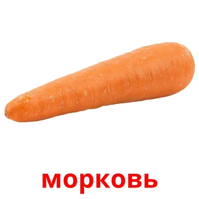 29 Бесплатных Карточек Овощи на Русском | PDF