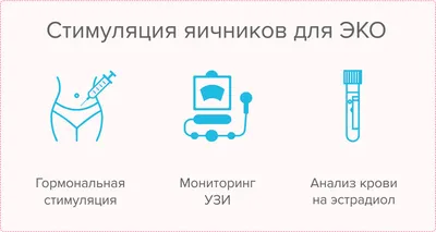 Как рассчитать овуляцию – давайте этому научимся! Зачем это делать –  ответит врач | О детском здоровье: с врачебного на родительский | Дзен