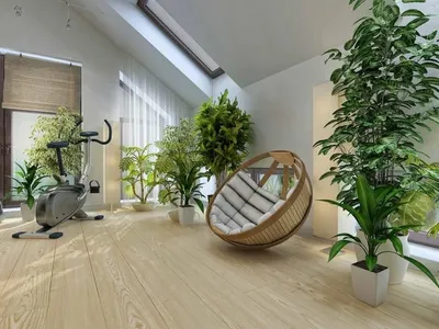 Дизайнерские идеи для озеленения квартиры; преимущества и Варианты  озеленения помещений