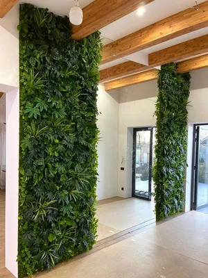 Озеленение интерьера квартиры-офиса-кафе всеми видами растений