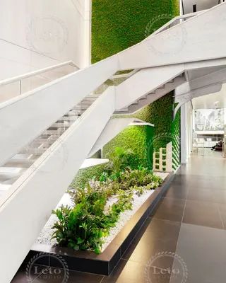 Зеленый дом» в Туле: вертикальное озеленение, real-touch цветы и стильные  подарки - MySlo.ru