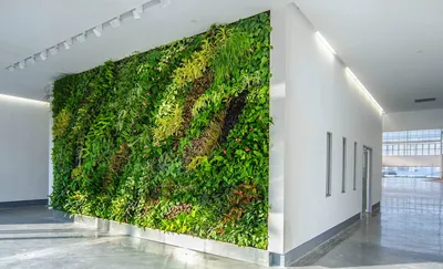 Фитостены в Москве, заказать вертикальное озеленение интерьеров любой  сложности, лучшие цены стены из растений и мха