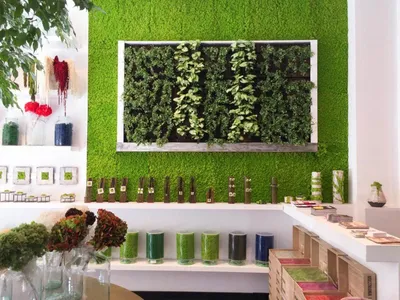 Заказать вертикальное озеленение живыми растениями или искусственными по  низкой цене в Москве