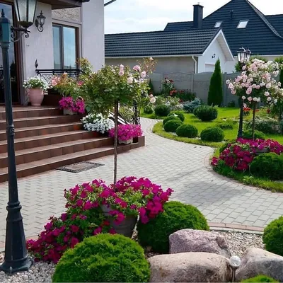 Озеленение двора частного дома своими руками (75 фото) » НА ДАЧЕ ФОТО