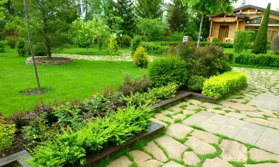 Дизайн двора частного дома | Outdoor gardens design, Front garden  landscape, Backyard landscaping designs