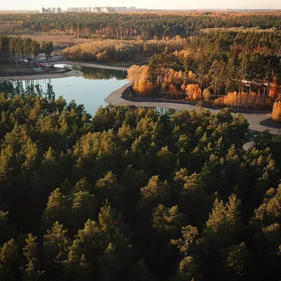 Озеро Лебяжье Хакасия (Большой фотоальбом) - treepics.ru