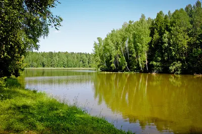 Озеро Лесное Сергиев Посад Фото фотографии
