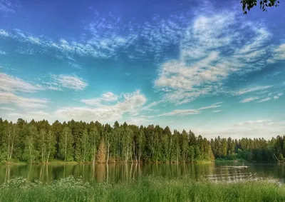 Тишина. Озеро Лесное. - фото автора савл на сайте Сергиев.ru