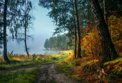 Лесное озеро - фото автора стихиЯ на сайте Сергиев.ru