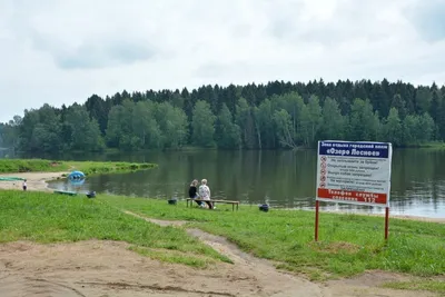 Лесное озеро в Сергиевом-Посаде (Россия) с фото и отзывами