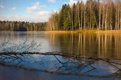 Почему многие люди вредят природе или пример с озером в Сергиев Посаде |  RUSпутье | Дзен